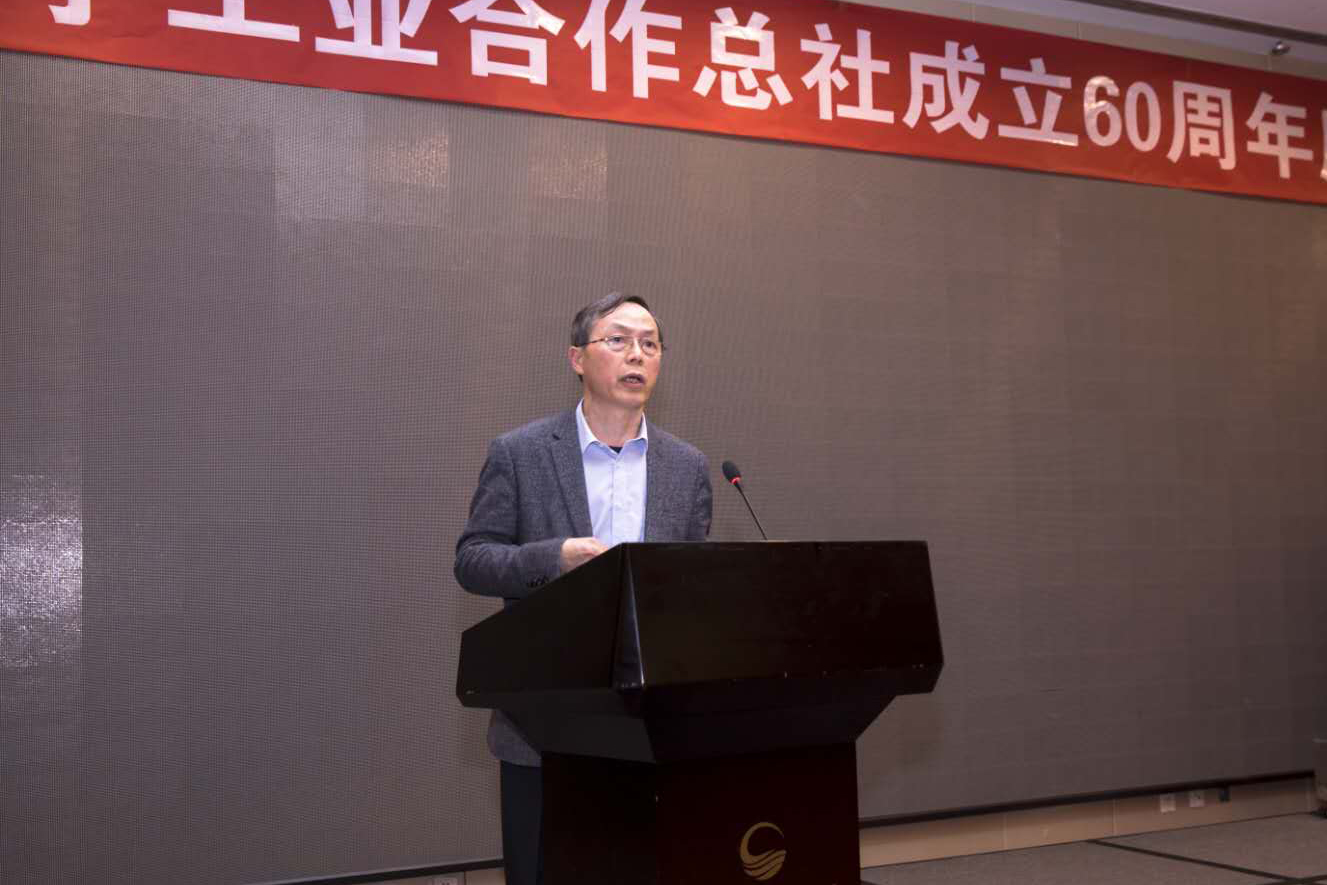 開拓進取引領輕工業(yè)走進高質量發(fā)展新時代